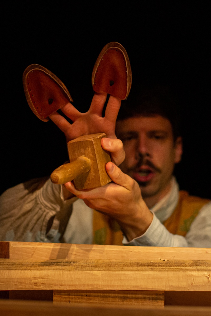 PINOKIO - Novosadske pozorišne igre